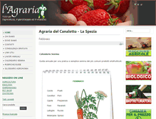 Tablet Screenshot of agrishoponline.com